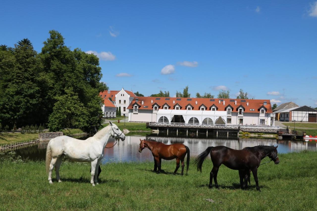 Palac Mortegi Hotel & Spa- Restauracja Szlachecka, Spa, Basen, Sauny, Jazda Konna, Mini Zoo- Luksus, Relaks I Przyroda W Jednym! Lubawa Bagian luar foto
